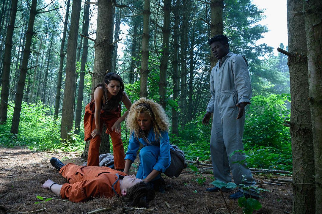 Utopia Falls : Foto Humberly González