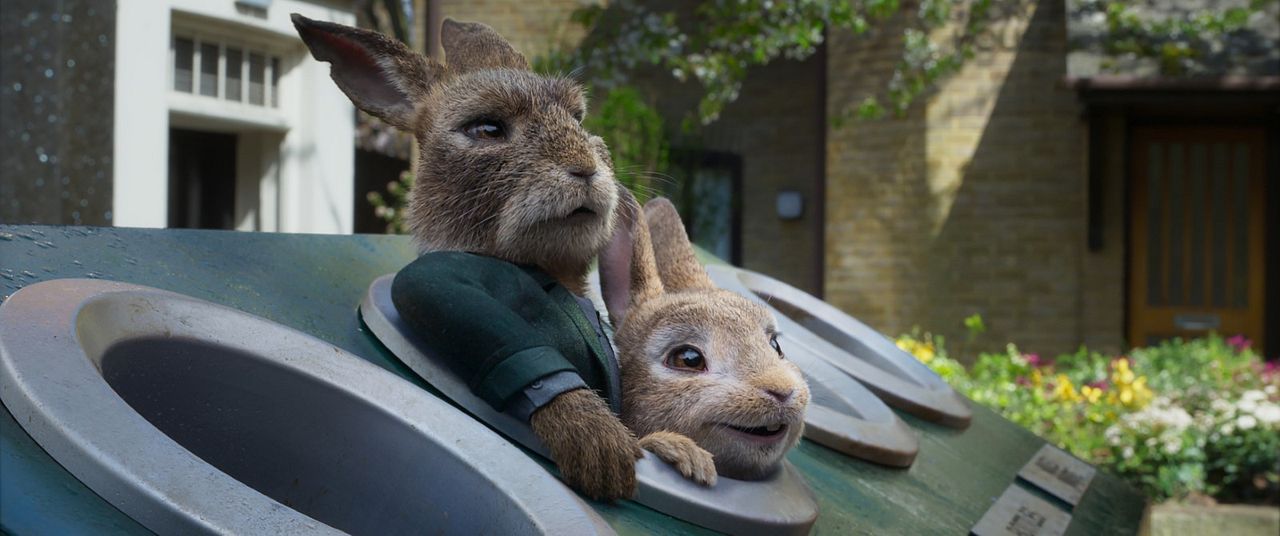 Peter Rabbit 2: Conejo en fuga : Foto