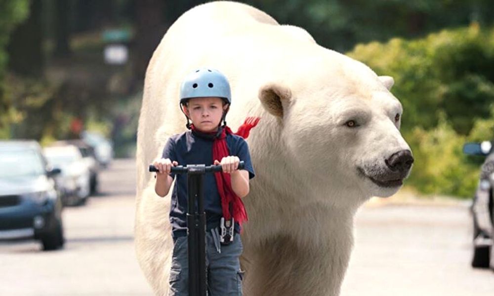 Las aventuras de Timmy Fracaso : Foto