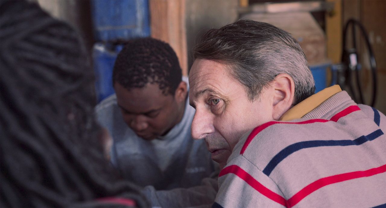 Perro bomba : Foto Alfredo Castro