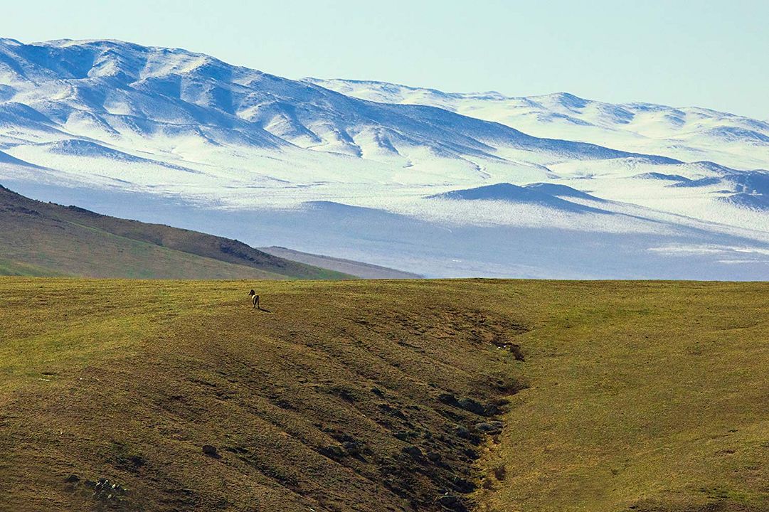 Nuestro Planeta : Póster
