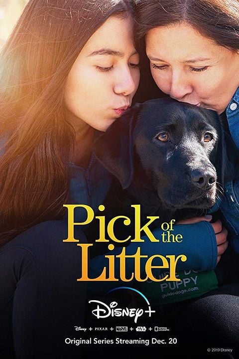 Pick of the Litter : Póster