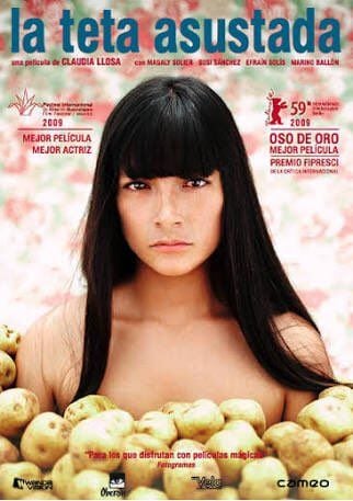 La teta asustada : Póster