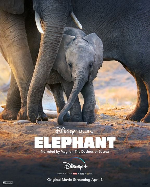 Elefante : Póster