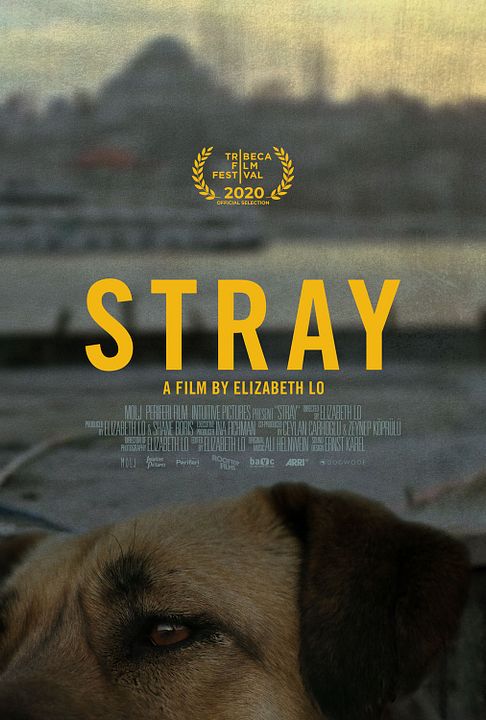 Stray : Póster