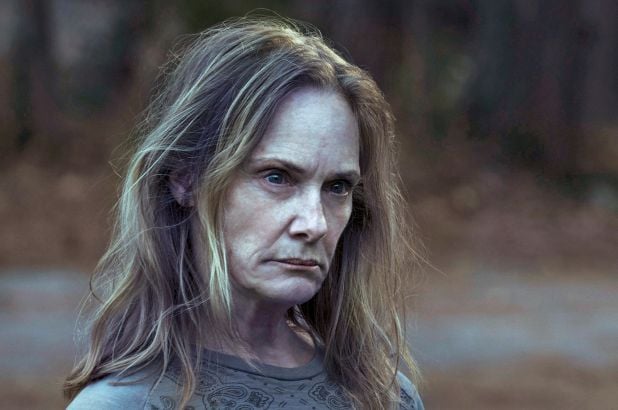 Póster Lisa Emery