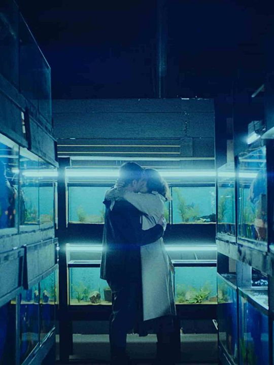 Little Fish : Póster