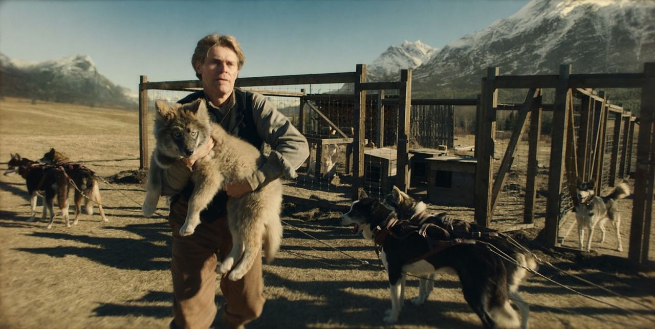 Togo : Foto Willem Dafoe