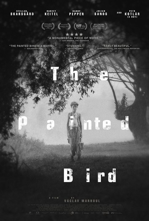 The painted bird : Póster