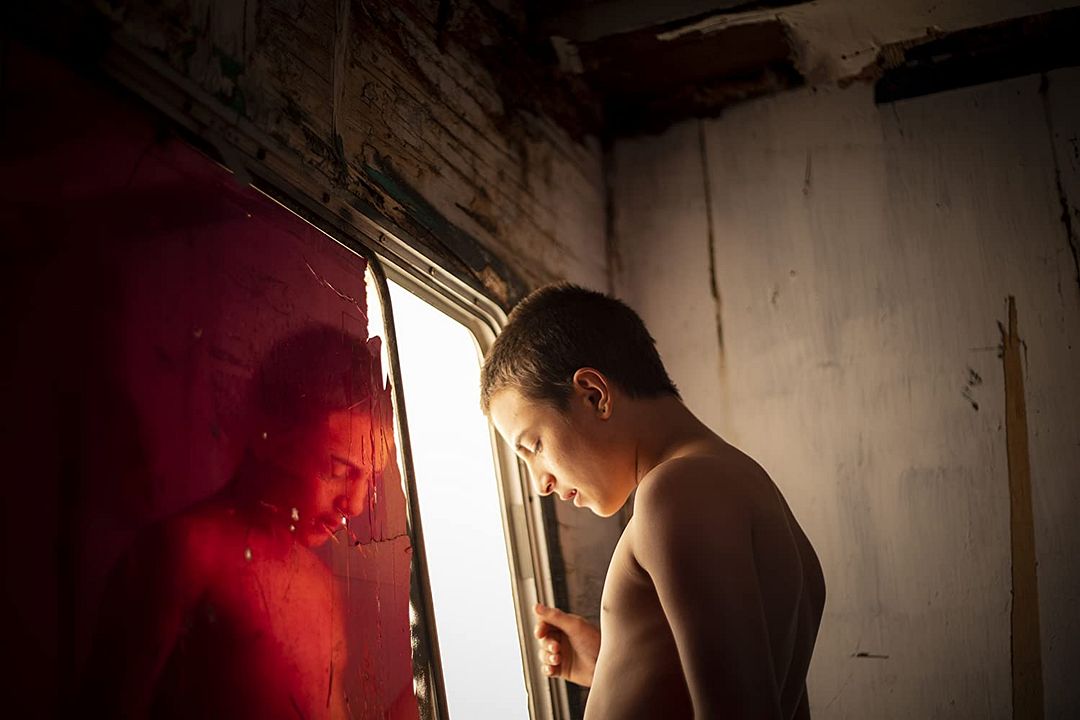 Blanco de verano : Foto