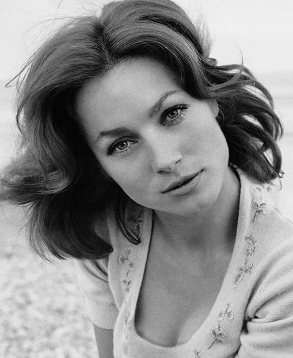 Póster Shirley Anne Field