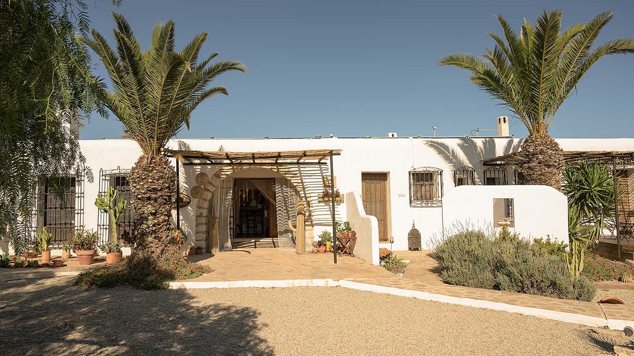 Vis a Vis: El Oasis : Foto