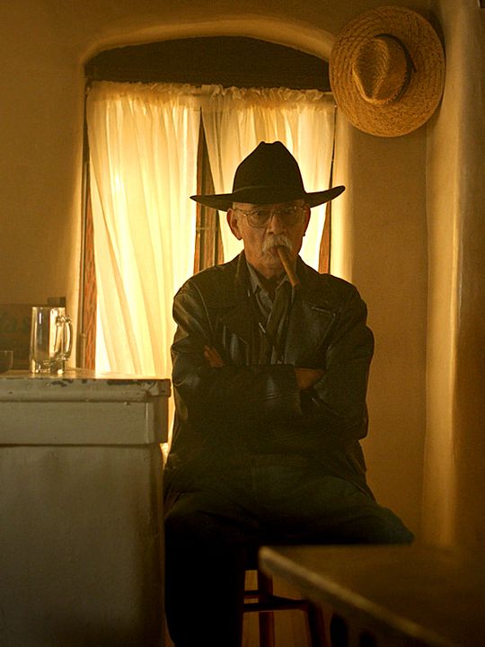 El último agente de la DEA : Póster