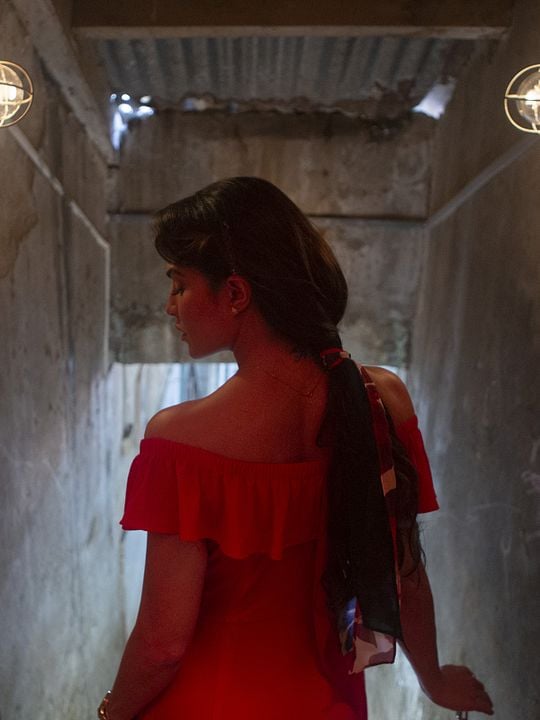 Sra. Asesina en serie : Póster