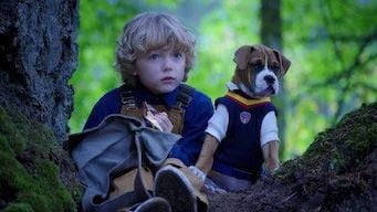 Academia de cachorros : Póster