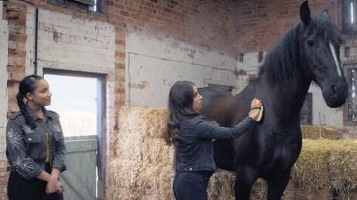 A rienda suelta : Foto