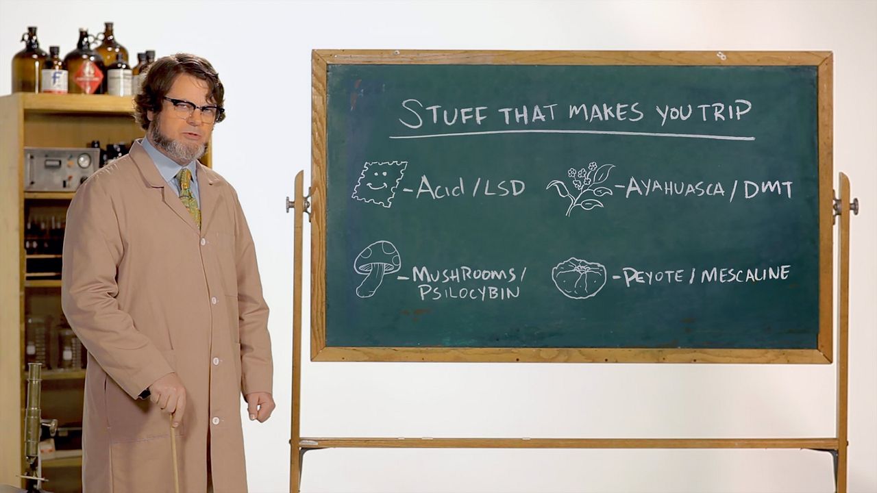 Buen viaje: Aventuras psicodélicas : Foto