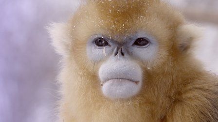 Planeta absurdo : Foto