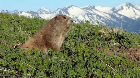 Planeta absurdo : Foto