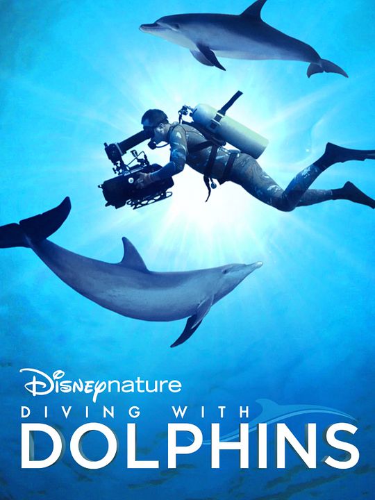 Buceando con Delfines : Póster