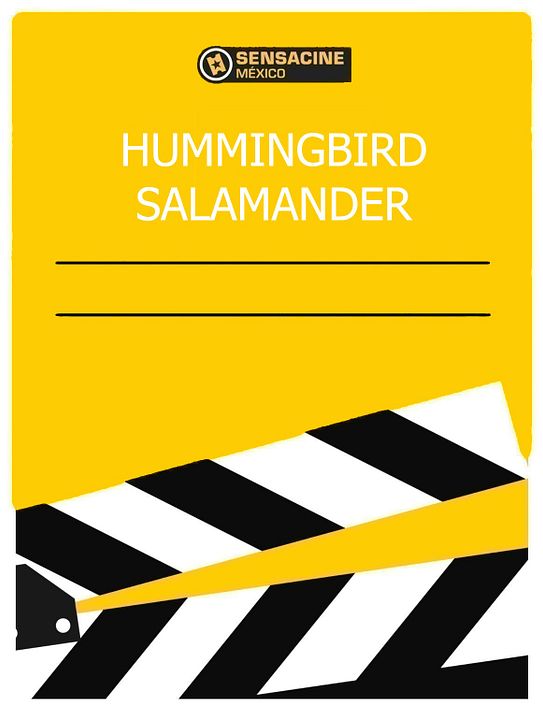 Hummingbird Salamander : Póster