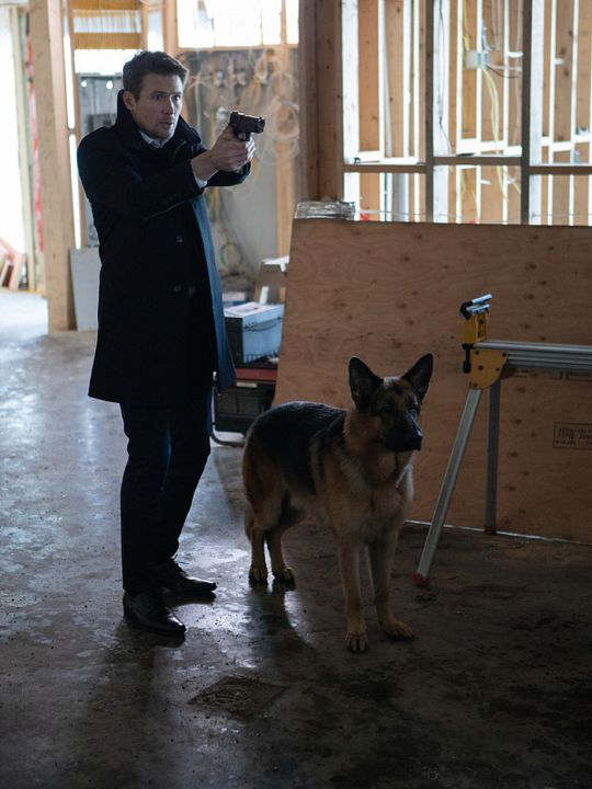 Hudson & Rex : Póster