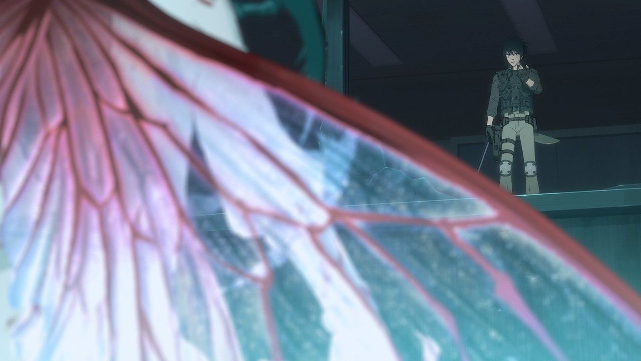 Cagaster of an Insect Cage : Póster