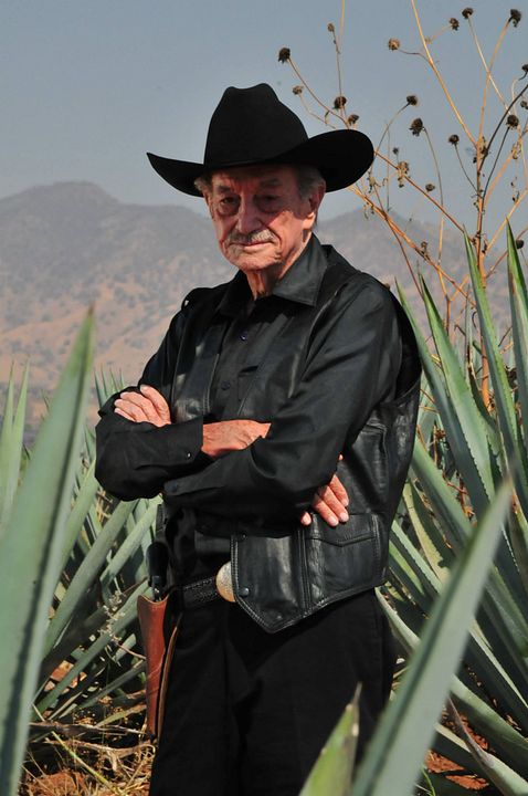 Póster Mario Almada