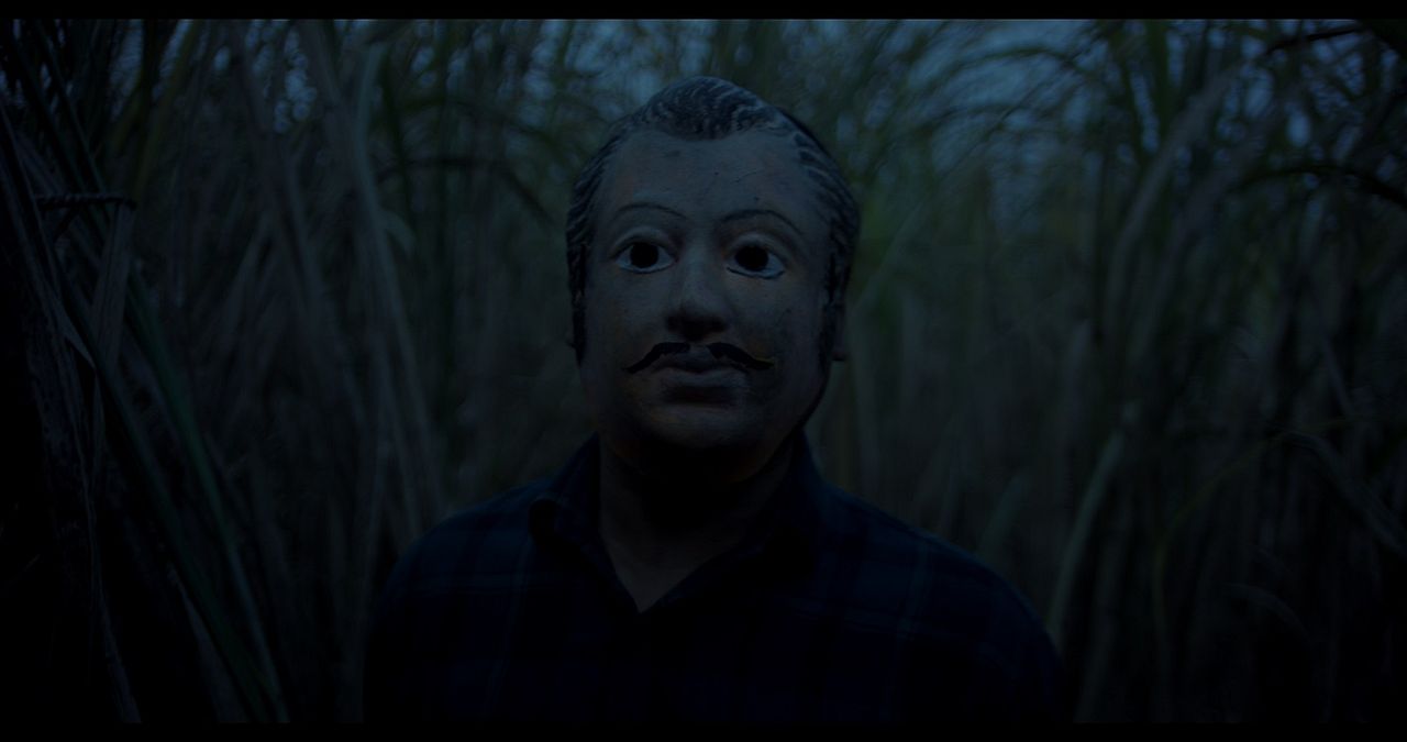 Behind The Trees : Foto