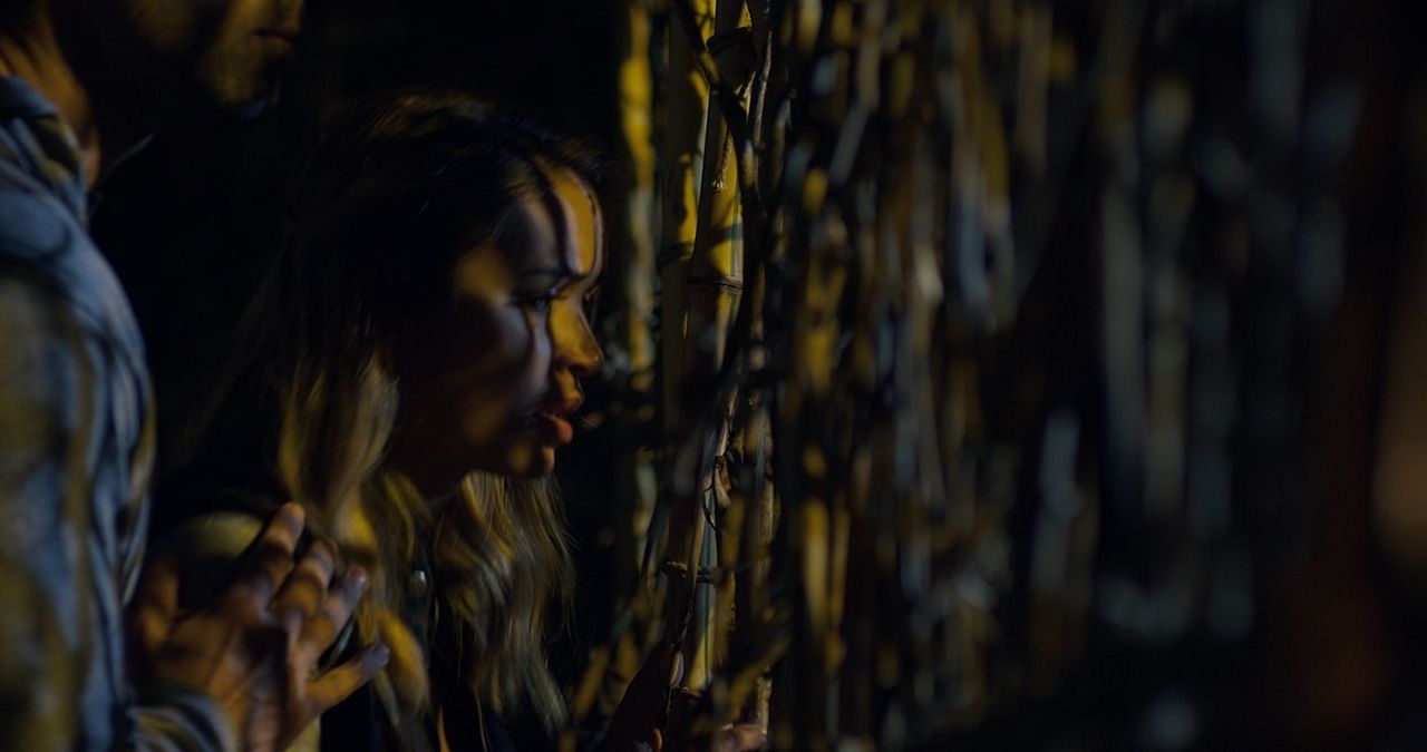 Behind The Trees : Foto