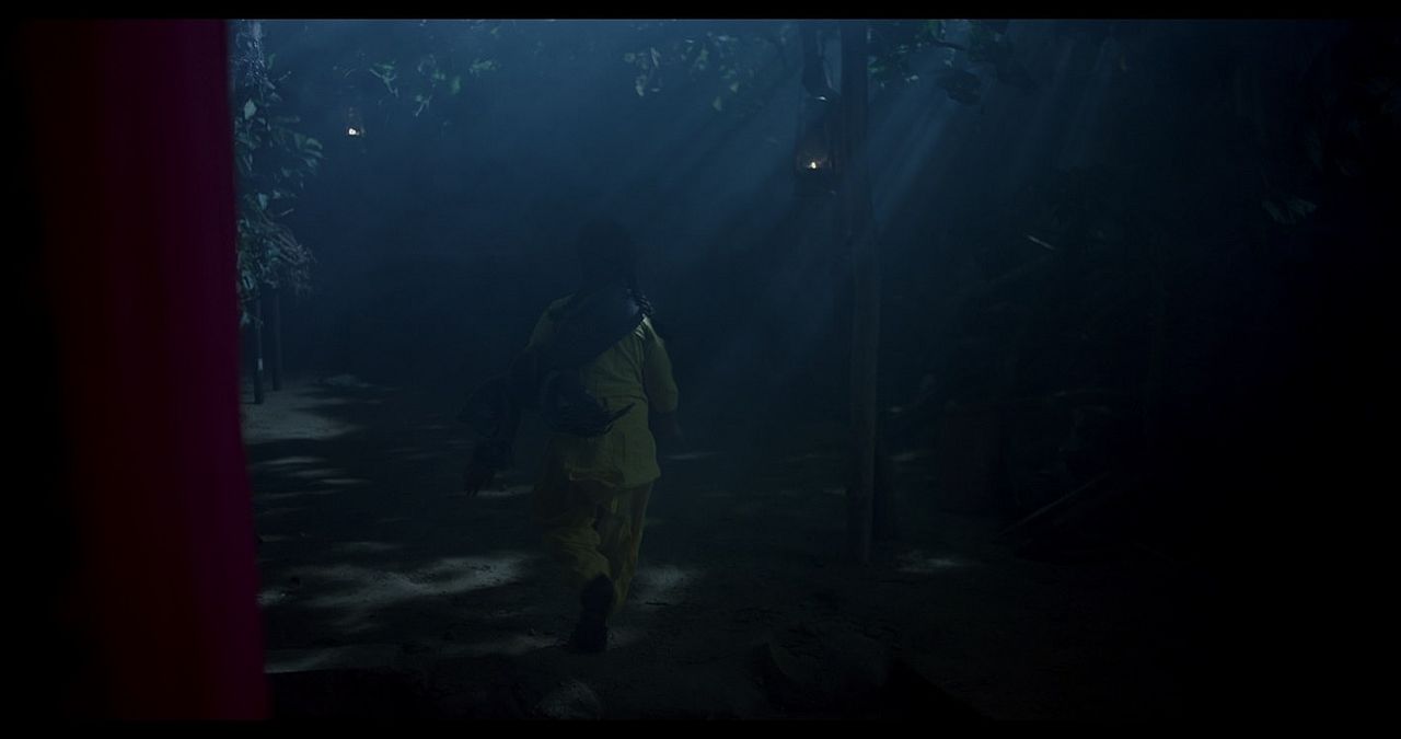 Behind The Trees : Foto