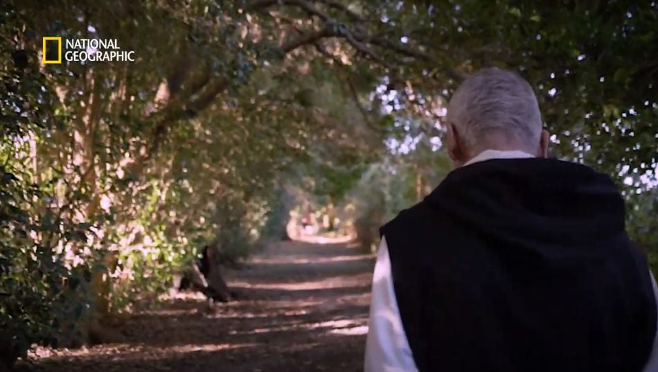 Creer para ver : Póster