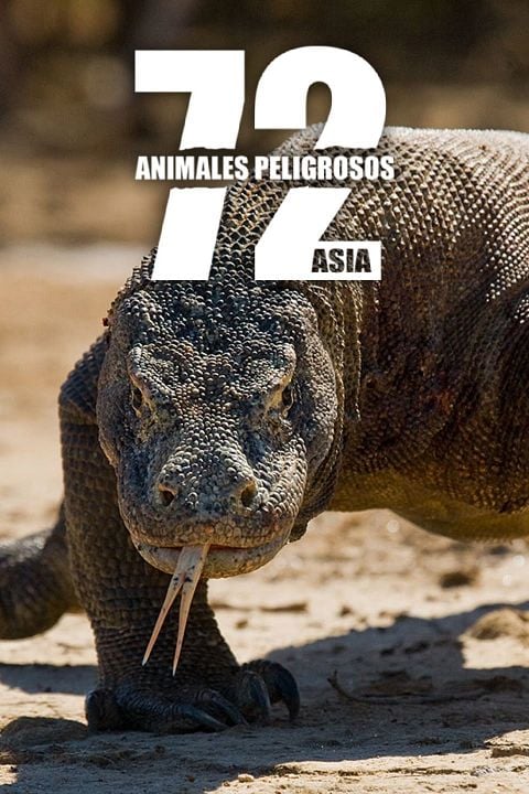 72 animales peligrosos: Asia : Póster
