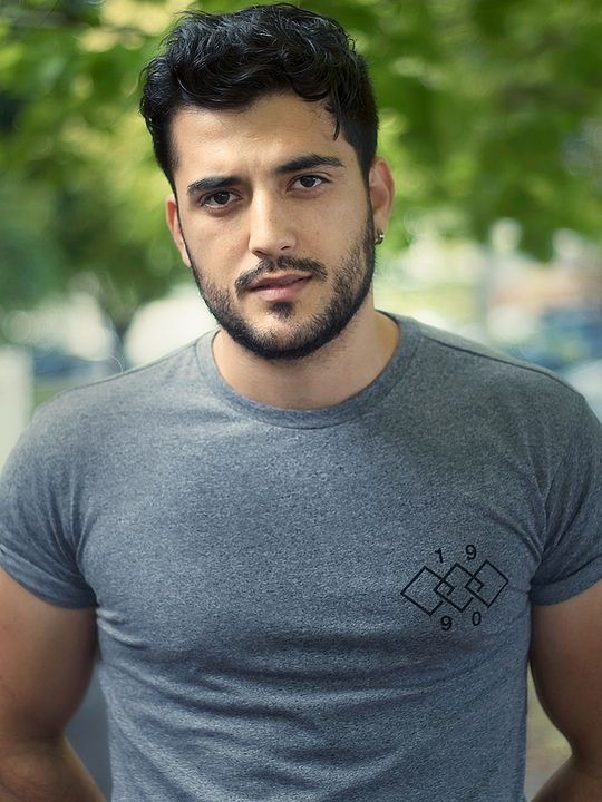 Póster Phoenix Raei