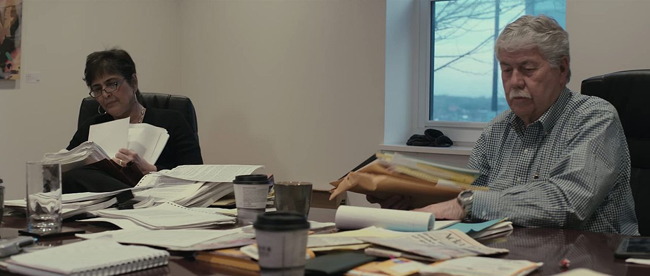 El proyecto Williamson : Póster