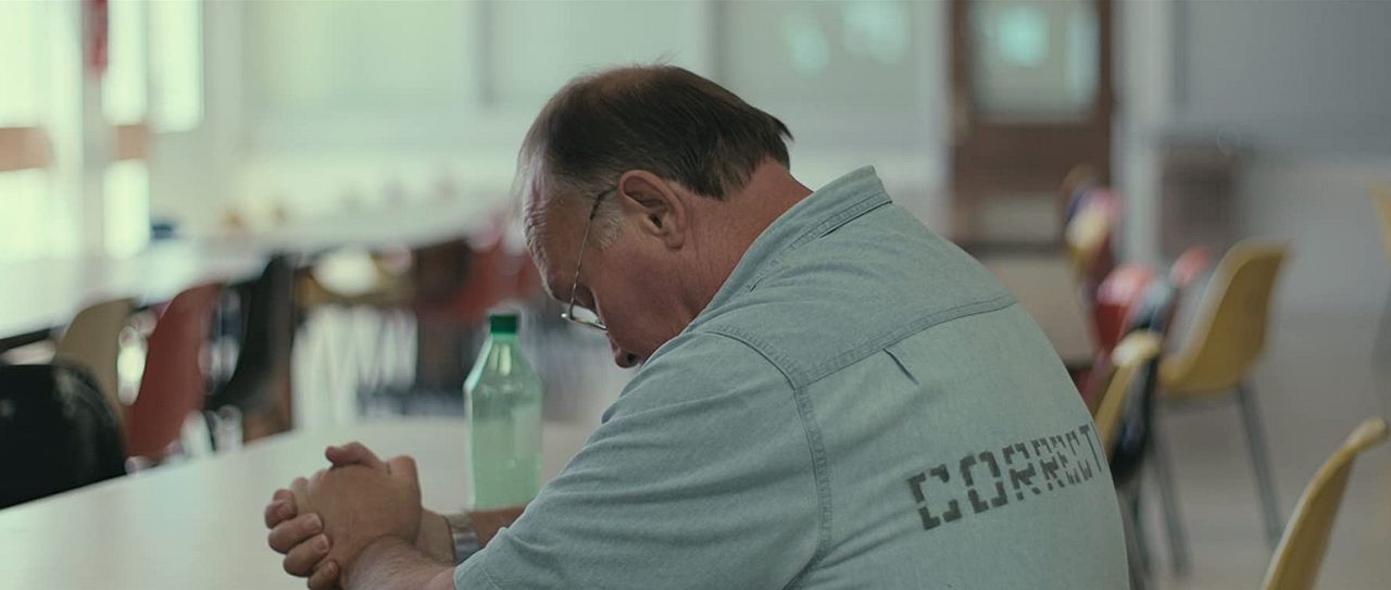 El proyecto Williamson : Póster