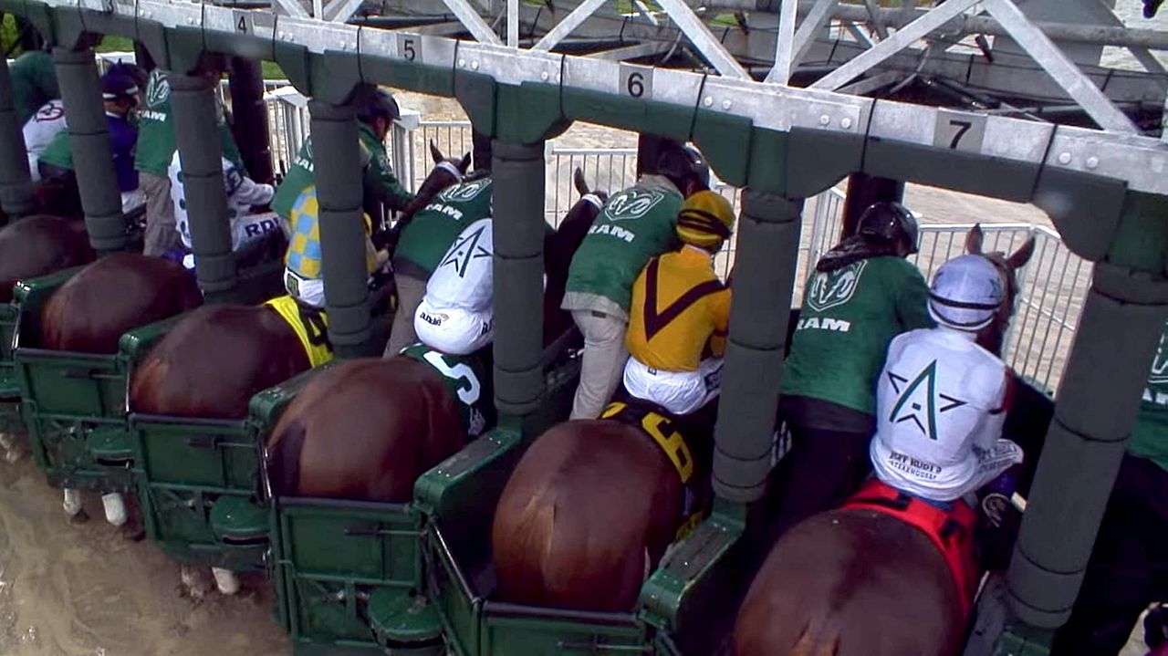 7 días antes : Póster