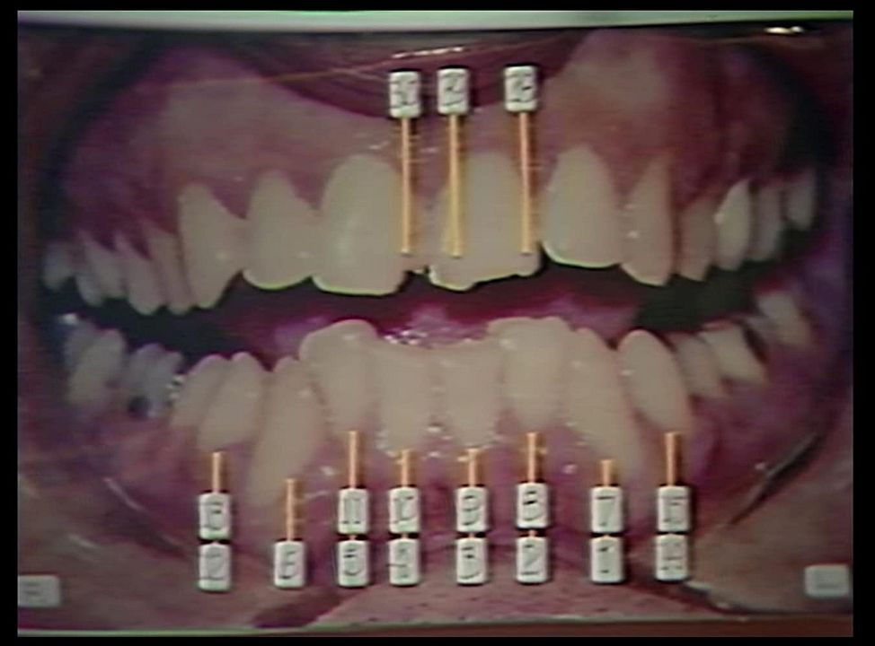 Conversaciones con asesinos: Las cintas de Ted Bundy : Póster