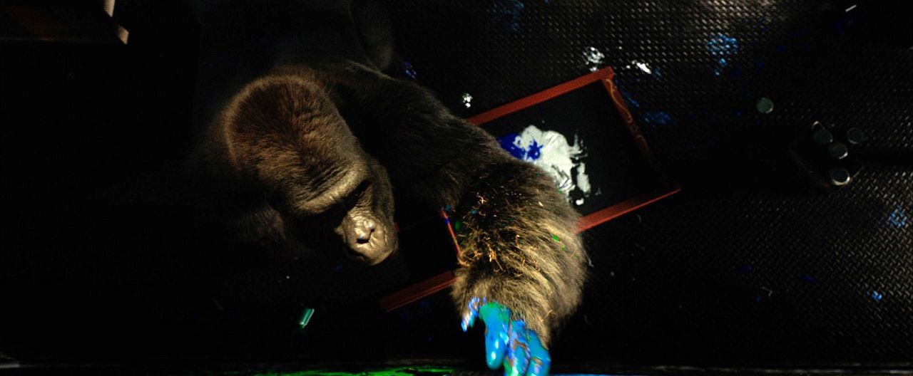 El único y gran Iván : Foto