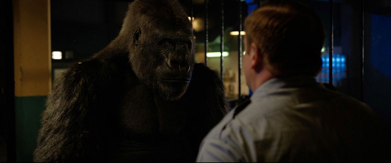 El único y gran Iván : Foto