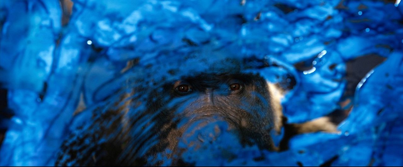 El único y gran Iván : Foto