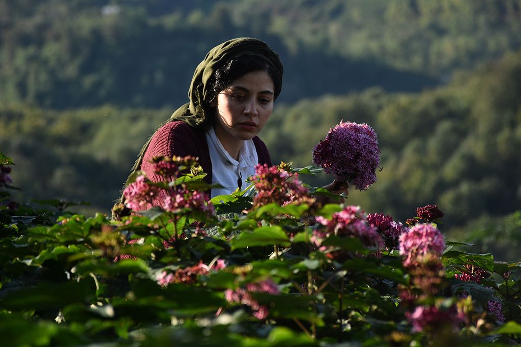 There Is No Evil : Foto