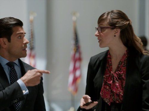 Alpha House : Póster