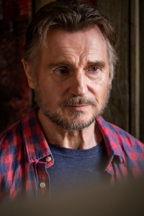 Amor a la Italiana : Foto Liam Neeson