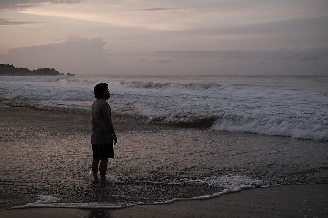 Los días que no estuve : Foto