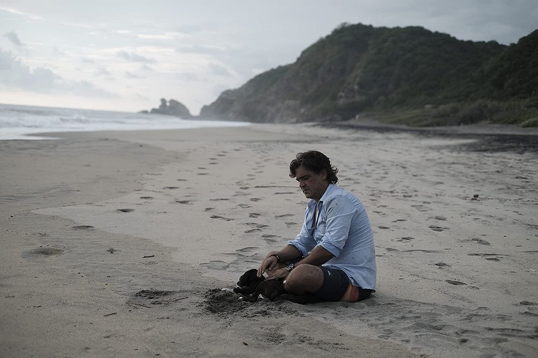 Los días que no estuve : Foto