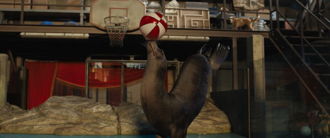 El único y gran Iván : Foto