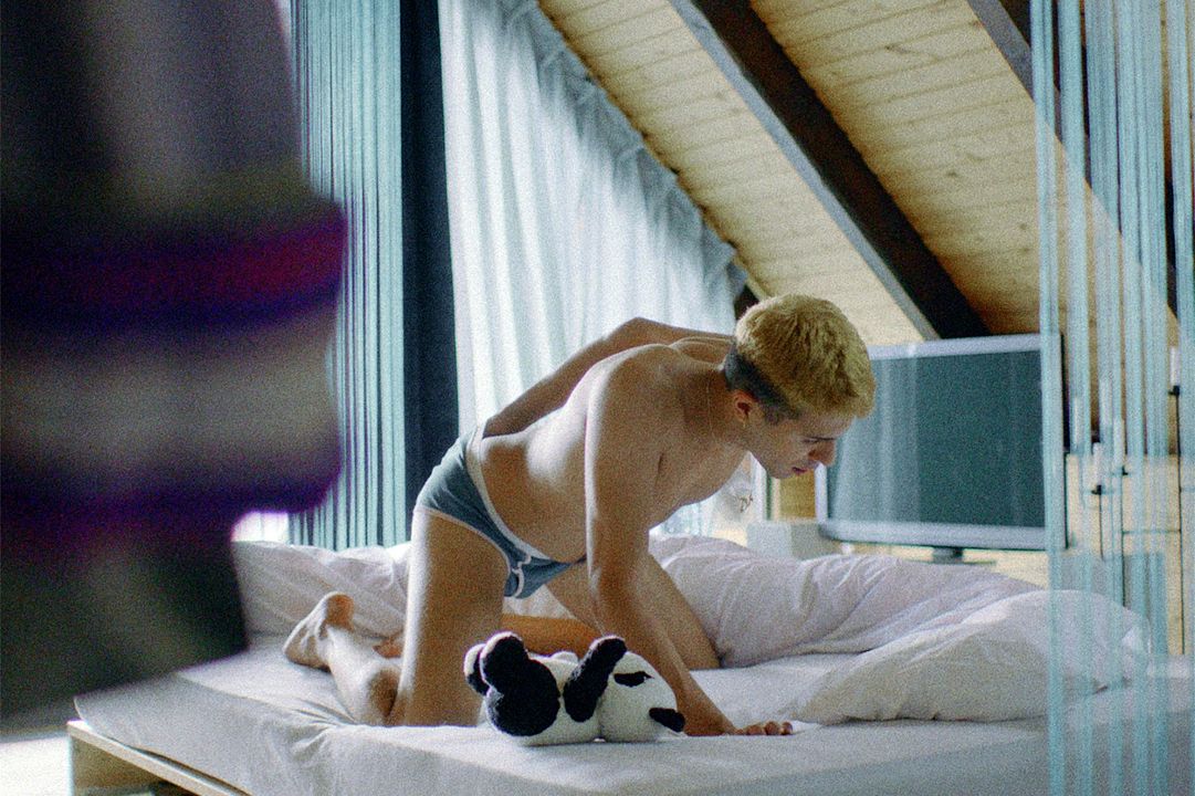 No Hard Feelings : Foto