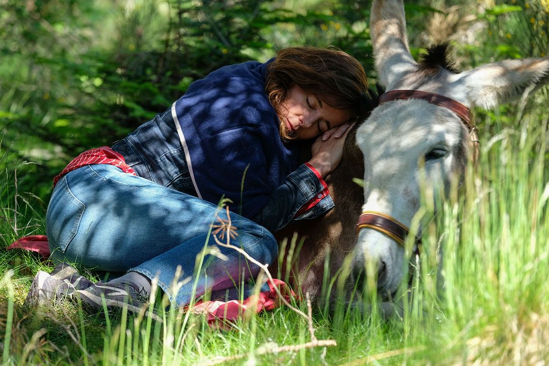 My Donkey, My Lover & I : Foto Laure Calamy