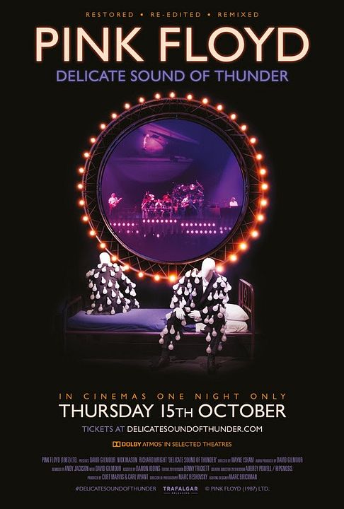 The delicate sound of thunder : Póster